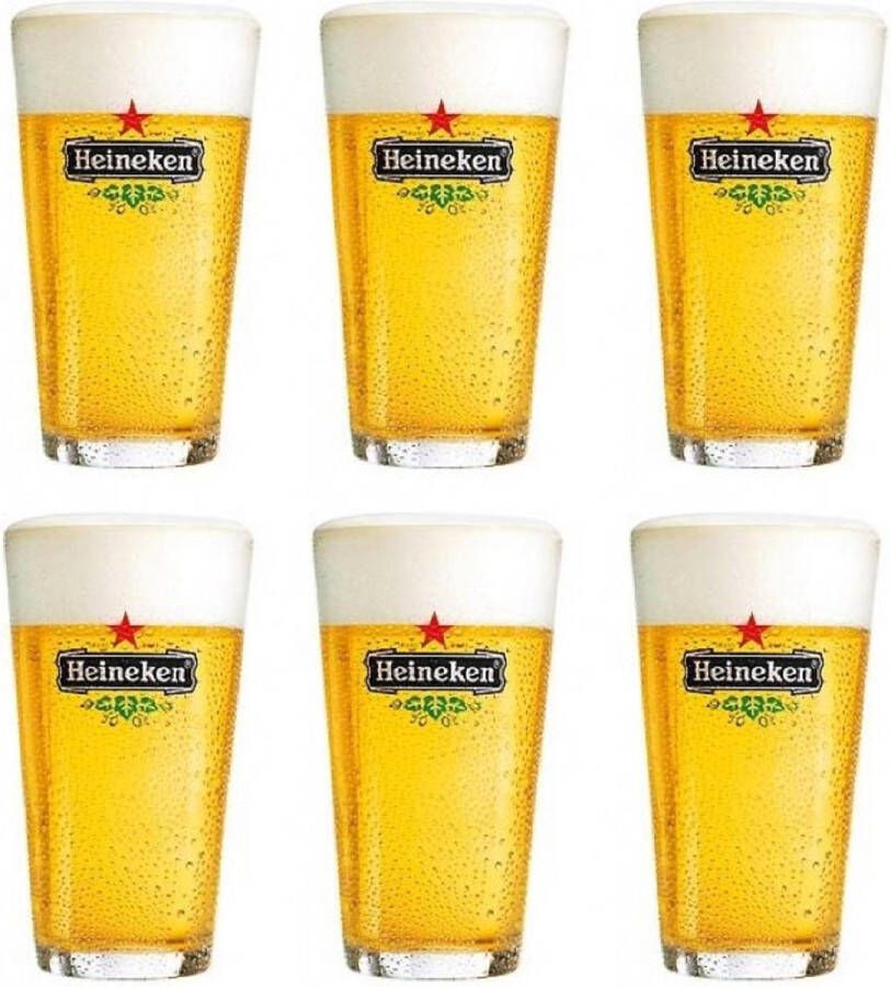 Heineken Bierglazen Vaasje 250 ml 6 stuks