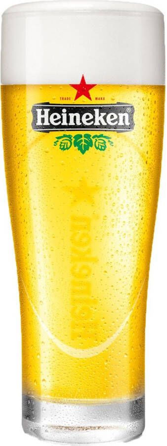 Heineken Ellipse Bierglas 25cl Bier Glas 0 25 l 250 ml