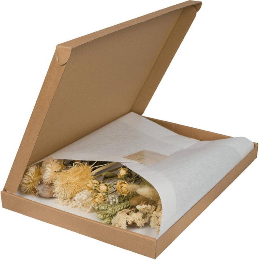 Hello Plants Droogbloemen in Letterbox Natural Ø 10 cm Hoogte: 35 cm Droogboeket