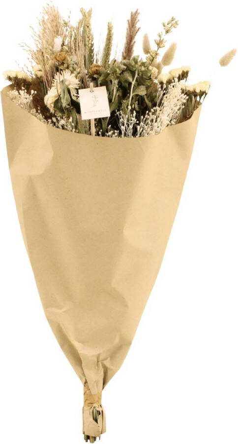 Hello Plants Droogboeket Bouquet Natural Ø 25 cm Hoogte: 60 cm Droogbloemen