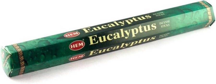 HEM 1x wierook eucalyptus met 20 stokjes Wierookstokjes