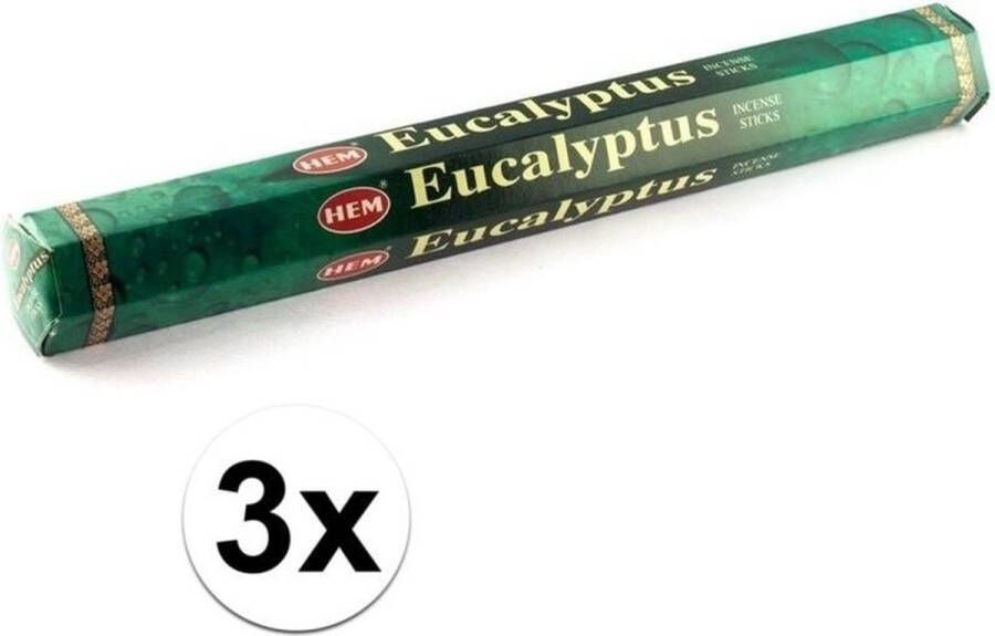 HEM 3x Pakjes wierook stokjes eucalyptus Wierookstokjes