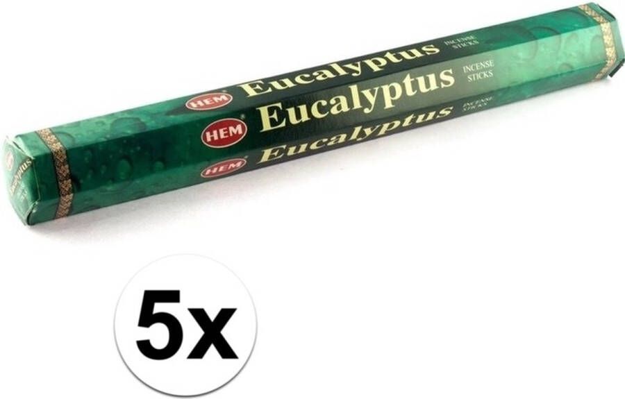 Hem 5x Eucalyptus wierook 20 stokjes geurstokjes