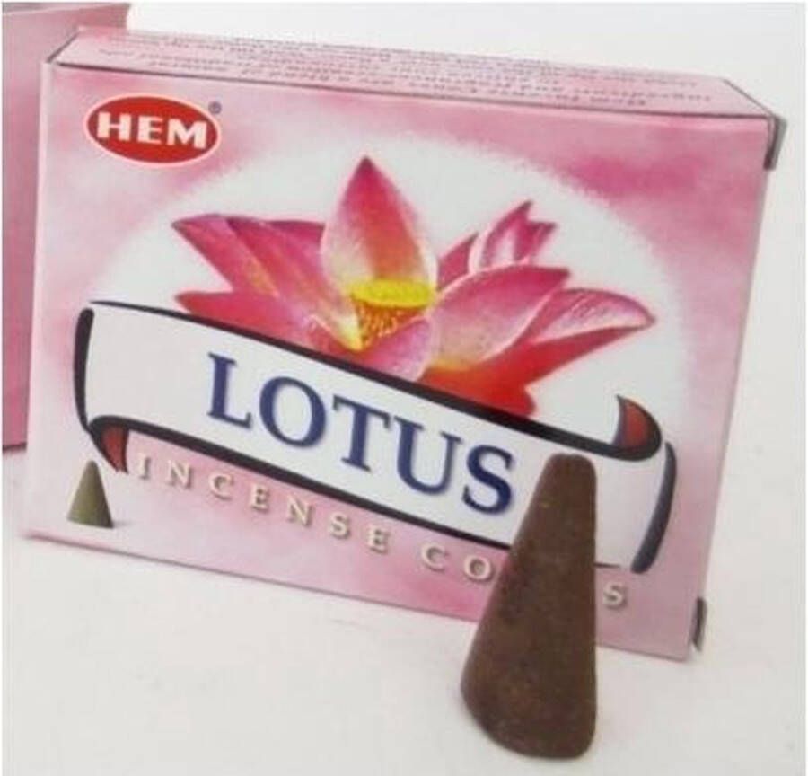 HEM Wierook Lotus 20 kegeltjes