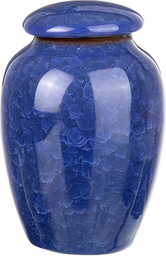 Hemelwinkel Luxe Begrafenis Urn 200 ML Crematie Urn Uniek Voor Huisdieren of Menselijk As Crematie As Mini Urn Decoratie Urn Blauw