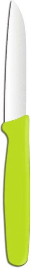 Hendi Schilmes Groen Ergonomische Handgreep Roestvast Staal 180mm