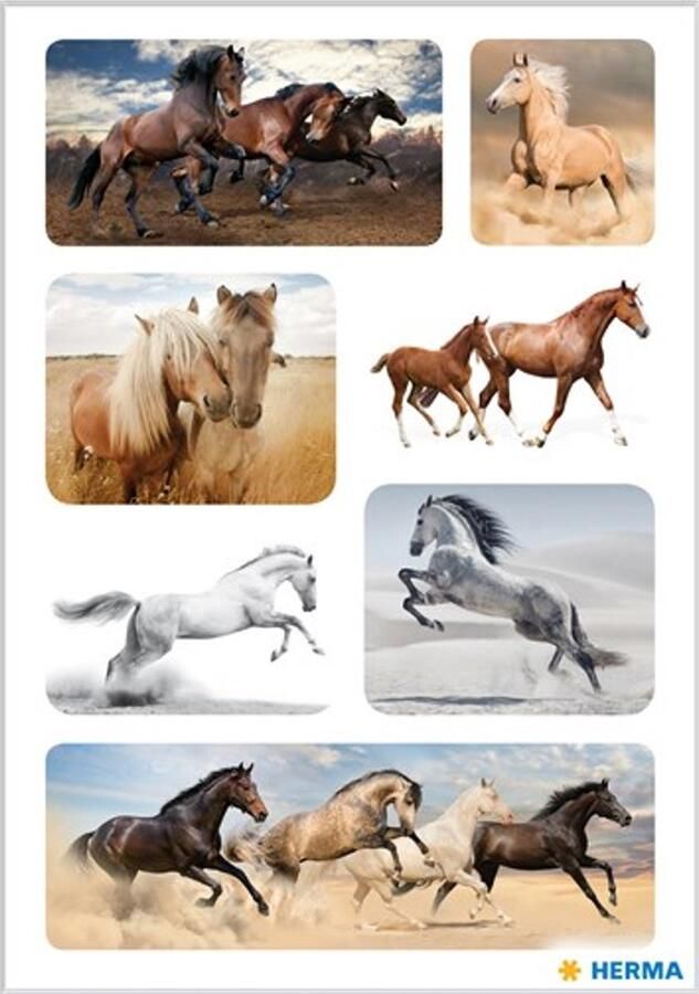 Herma Haza Original Stickers Paarden 3 Vellen Gratis Verzonden