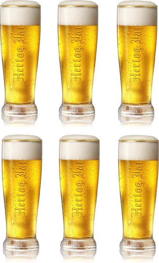 Hertog Jan Pilsener Bierglazen 25cl set van 6 Bier Glas 0 25 l 250 ml