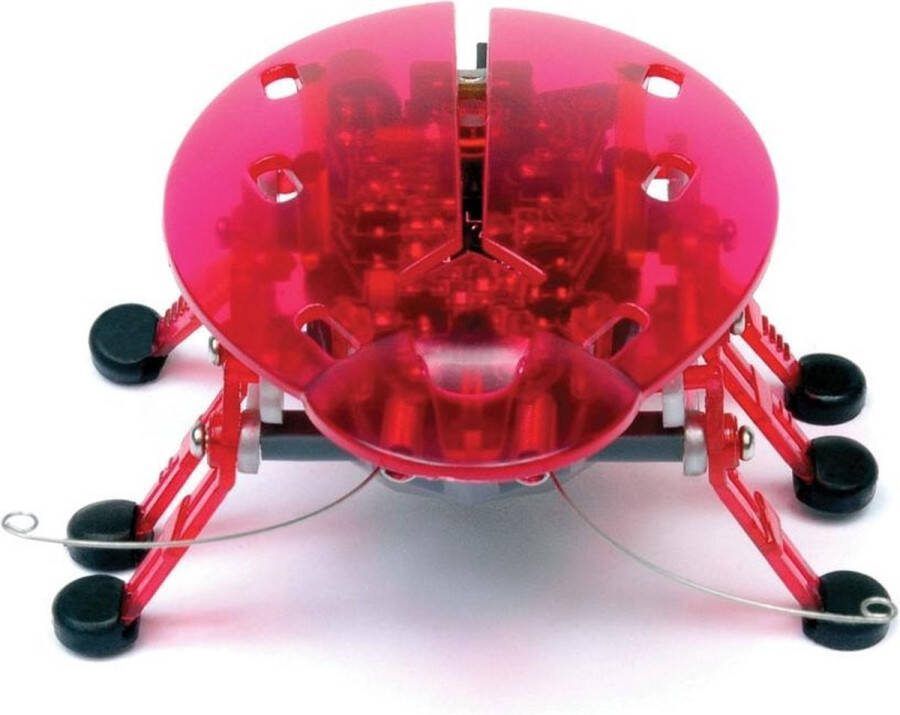 Hexbug Beetle Speelgoedrobot