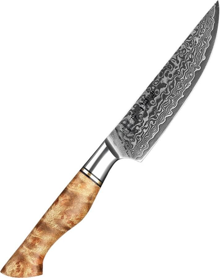 HEZHEN Damaststalen Steakmes (67 laags VG10) Fantastisch design Inclusief giftbox handvat van Plataanhout B30 Series