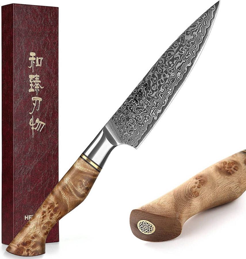 HEZHEN Professioneel 5 Groentemes officemes VG10 Damascus staal (67 lagen) B30 Series Handvat van Plataanhout met Klinknagel Mozaïek