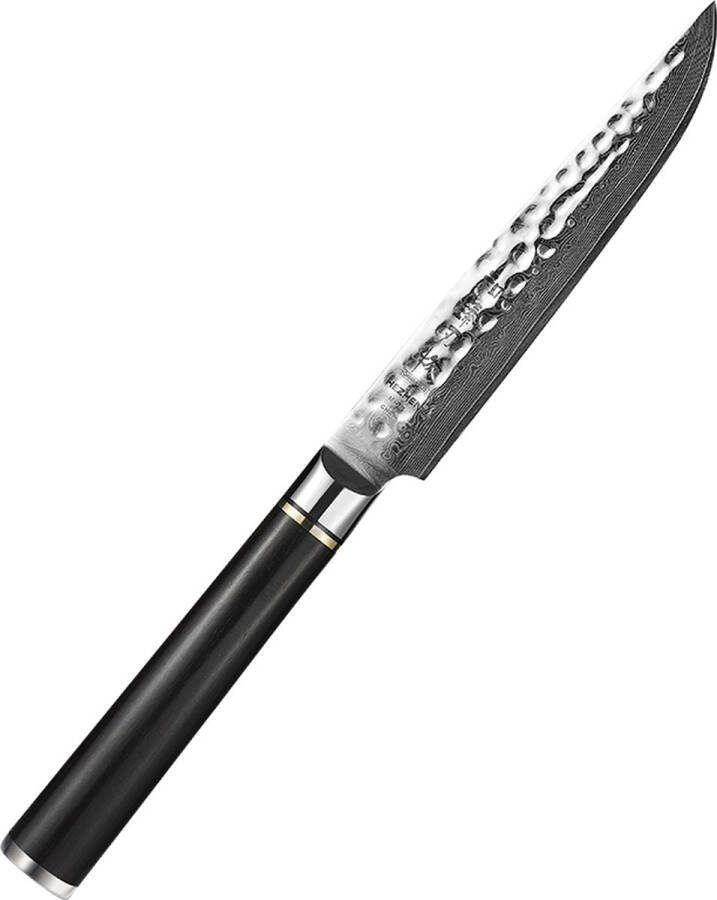 HEZHEN Steakmes van Damascus staal Langdurige scherpte mooie geschenkdoos handvat van Ebbenhout B1Z Series