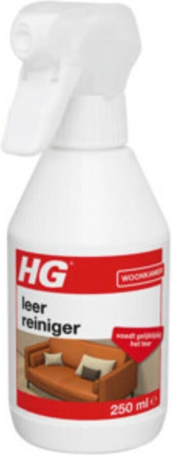 HG 6x Leerreiniger 300 ml