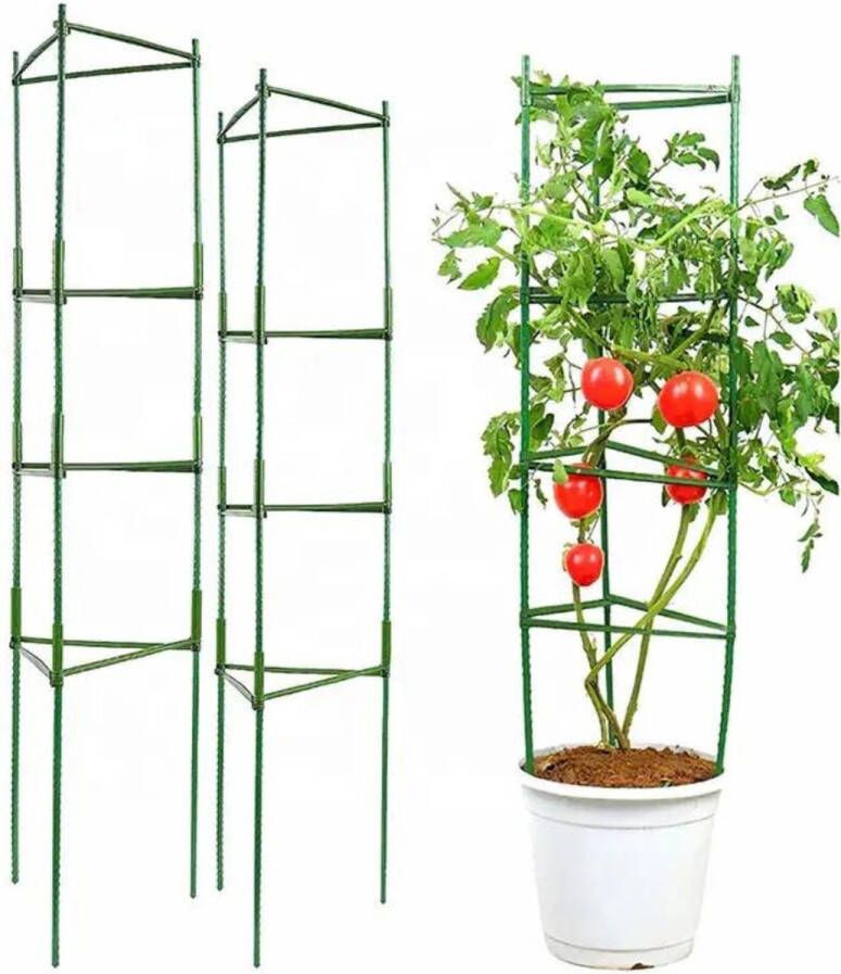 Hilvard Plantensteun 2 stuks Klimplantenrek Tomatenspiraal Plantenstok Bindmaterialen Kamerplant Buitenplant Lente 120 cm