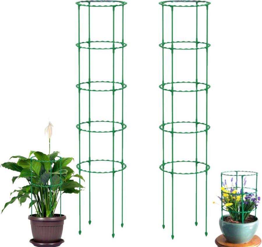 Hilvard Plantensteun Klimplantenrek Tomatenspiraal Plantenstok Bindmaterialen Kamerplant Buitenplant Lente 85cm 2 stuks