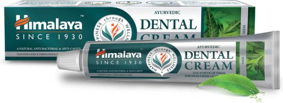 Himalaya Herbals Himalaya Ayurvedic Dental Cream Neem Tandpasta 100 g Toothpaste Neem Dagelijkse Tandpasta met Antibacteriële en Anti-gaatjes Bescherming