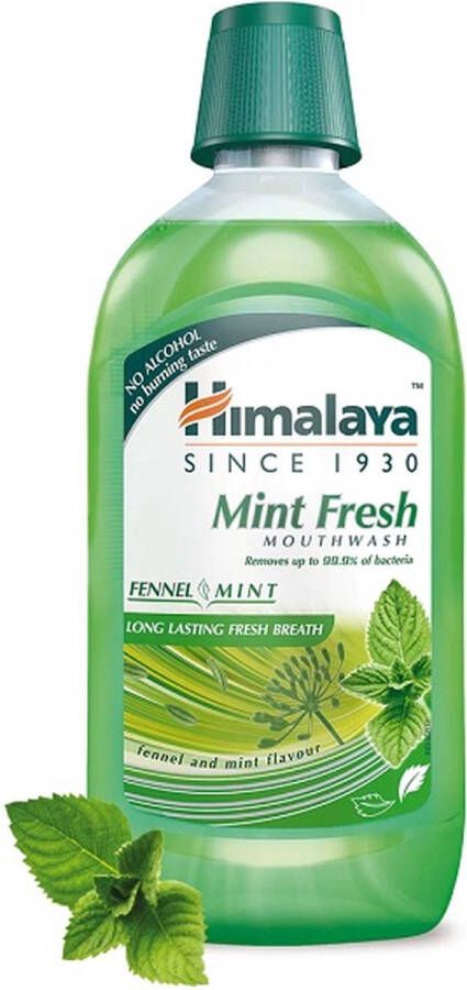 Himalaya Herbals Himalaya Mint Fresh Mondwater 450 ml Alcohol Vrij