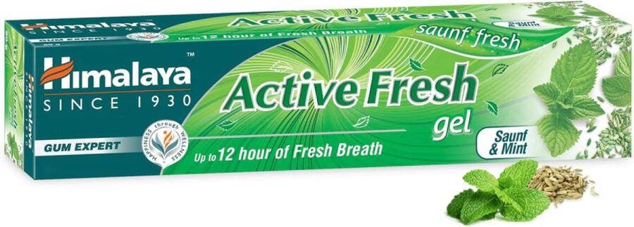 Himalaya Tandpasta met ayurvedische kruiden gel Active Fresh 80 gram