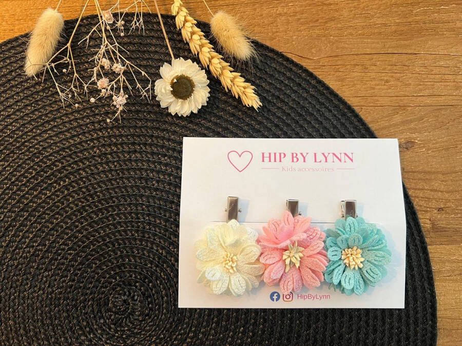 HipByLynn Haarspeldjes Tess Haarklem Alligator speldjes Haarspeldjes kind Bloem Voordeelset Haaraccessoires Kinderaccessoires