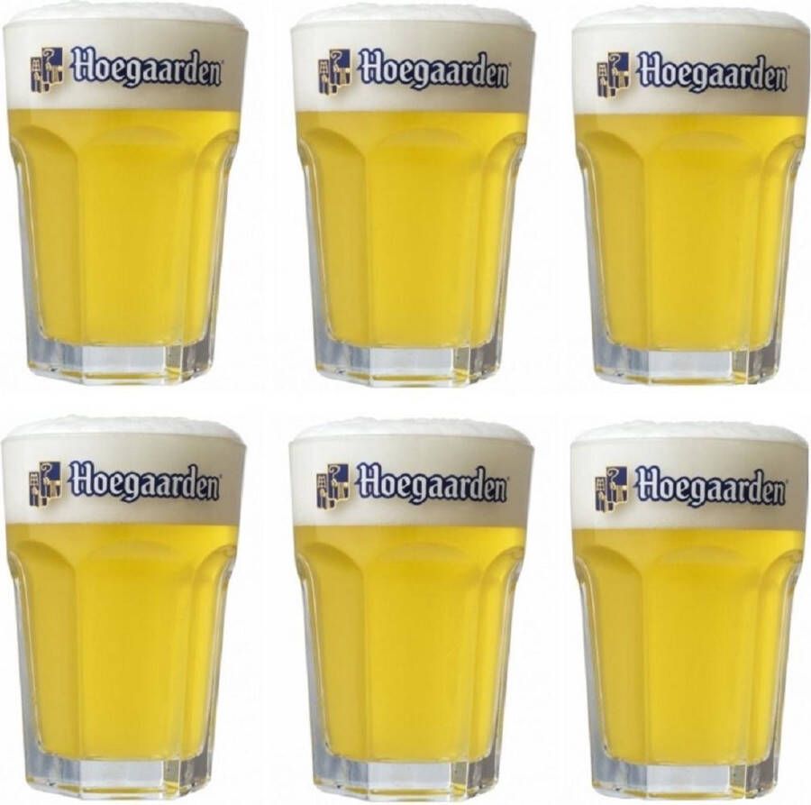 Hoegaarden Bierglazen Witbier 250 ml 6 stuks