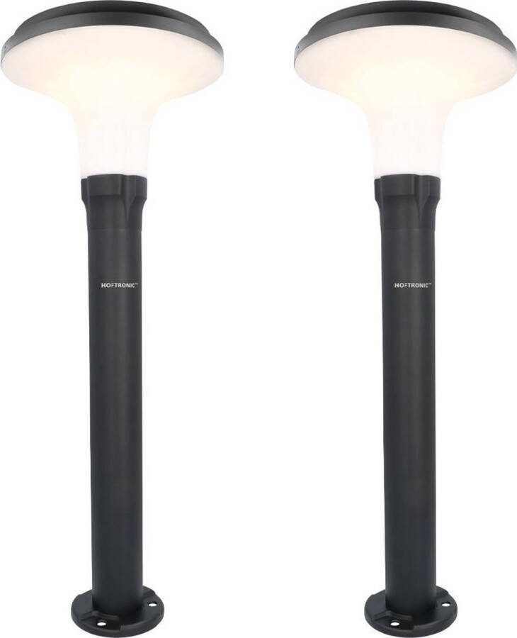 HOFTRONIC 2x Layton LED Solar sokkellamp 4.5 Watt 3000K Warm wit (sfeervol) IP65 waterdicht Tot 12 uur brandtijd Monokristal zonnepaneel Geschikt als padverlichting buitenlamp