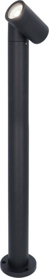 HOFTRONIC Amy LED sokkellamp 6000K daglicht wit GU10 60 cm Padverlichting Tuinspot Voor buiten Dimbaar Kantelbaar Zwart