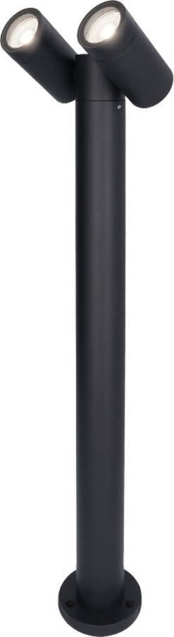 HOFTRONIC Aspen double LED sokkellamp 60cm Kantelbaar incl. 2x GU10 6000K Daglicht wit- IP65- Zwart Buitenlamp geschikt als padverlichting