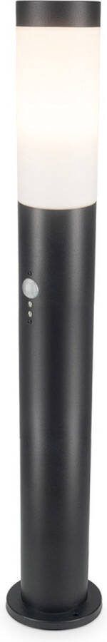 HOFTRONIC Dally M Staande buitenlamp met bewegingssensor en schemerschakelaar 80cm E27 Sokkellamp Zwart IP44 Waterdicht Tuinverlichting Padverlichting Tuinlantaarn Staande buitenlamp