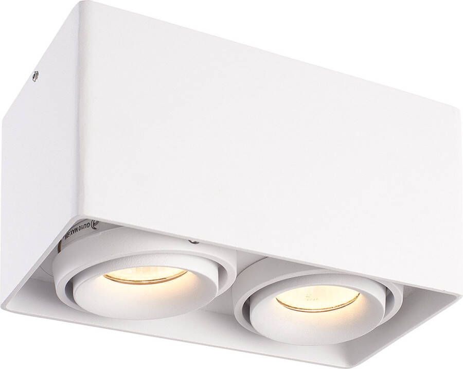 HOFTRONIC Dimbare LED opbouw plafondspot Esto Wit 2 lichts IP20 kantelbaar excl. lichtbron