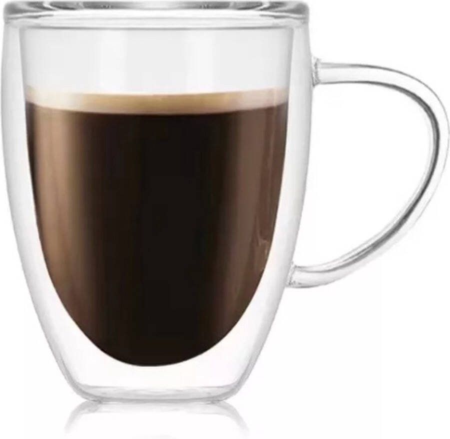 HOGA Dubbelwandige Thee koffieglazen 4 stuks Dubbelwandig 250ml Koud Warm Luxe