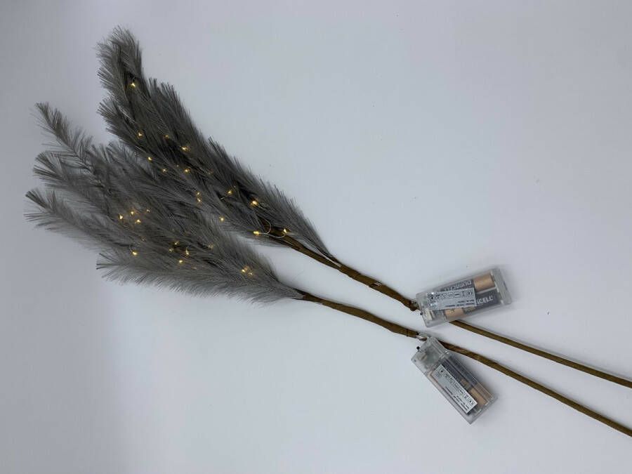 Home Sweet Home Set van 2 sfeervolle decoratie pluimen takken grijs met led verlichting 85 cm 2 x aa | 793775 | Stoer & Sober Woonstijl