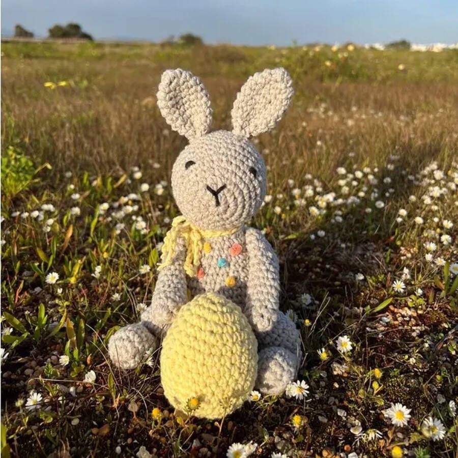 Hoooked Haakpakket Bunny CHOCOPOP Eco Barbante Amigurumi (complete set inclusief haaknaald)