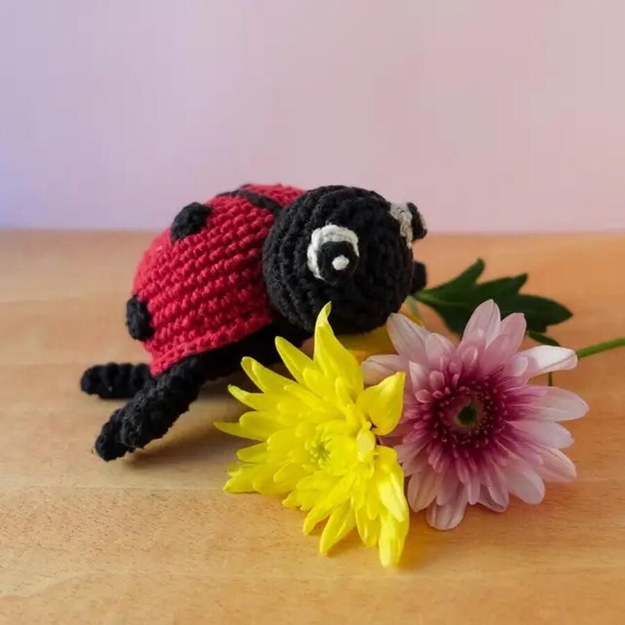 Hoooked Haakpakket Ladybird DAISY Eco Barbante Amigurumi (complete set inclusief haaknaald)
