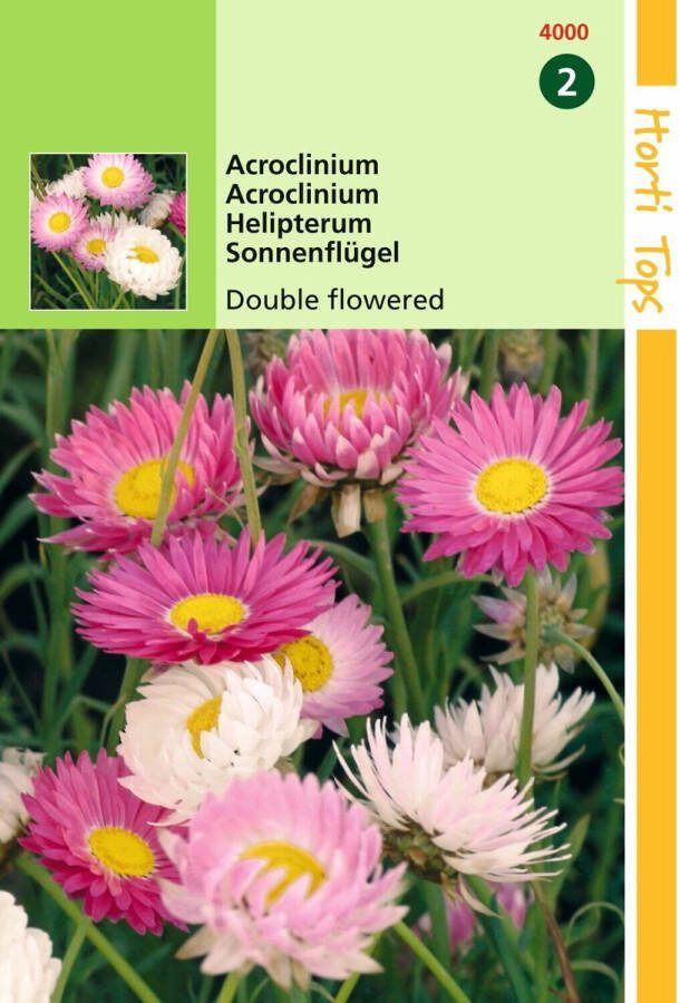 Hortitops 2 stuks Acroclinium Helipterum Roseum Dubbelbl. Gemengd