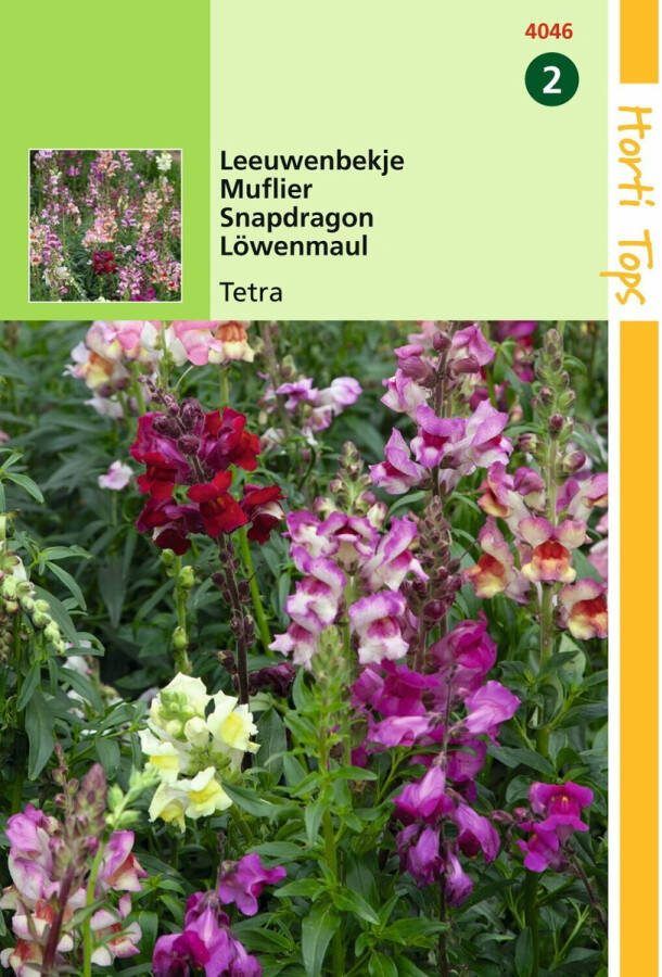Hortitops 2 stuks Antirrhinum Majus Nanum Tetraploide Gemengd