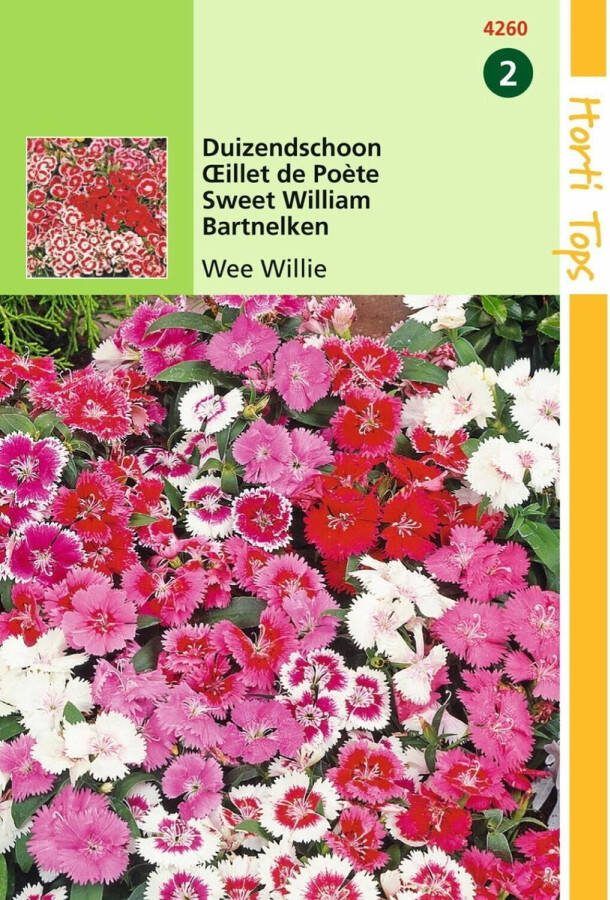 Hortitops 2 stuks Dianthus Barbatus Wee Willie Gemengd