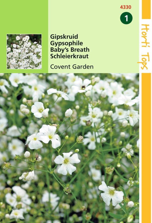Hortitops 2 stuks Gypsophila Elegans Covent Garden Wit