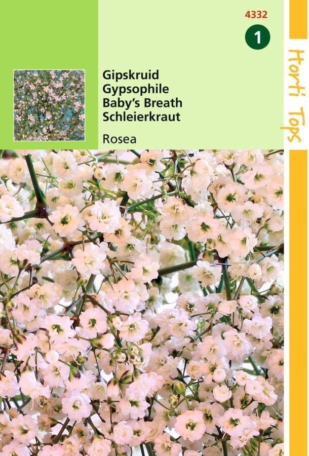 Hortitops 2 stuks Gypsophila Elegans Diep Rose