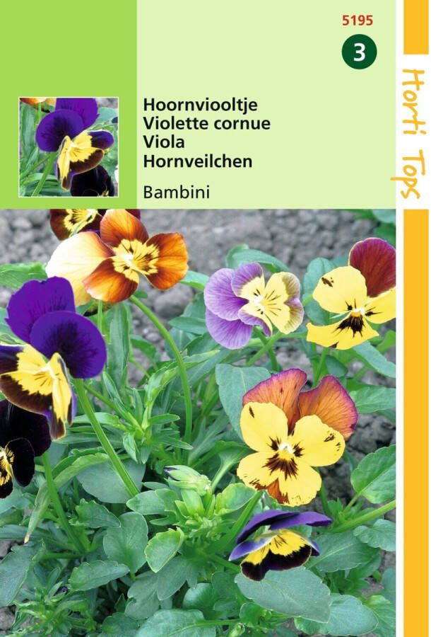 Hortitops 2 stuks HT Viola Hoornviooltje Bambini gemengd