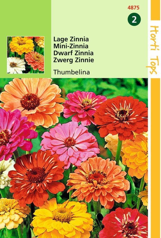 Hortitops 2 stuks HT Zinnia Thumbelina laag gemengd