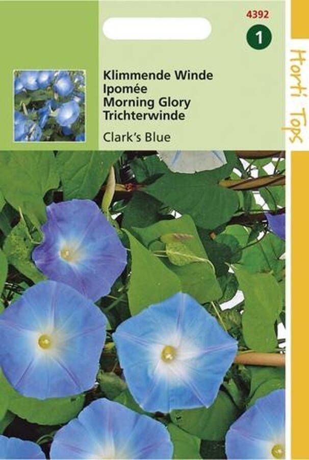 Hortitops 2 stuks Ipomoea tricolor rubro c. Clark s Blue