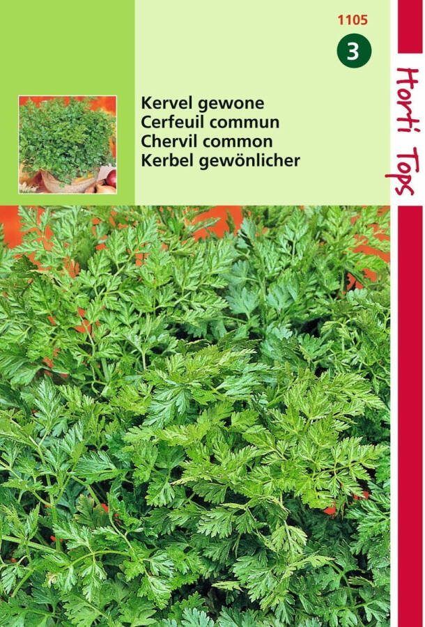 Hortitops 2 stuks Kervel