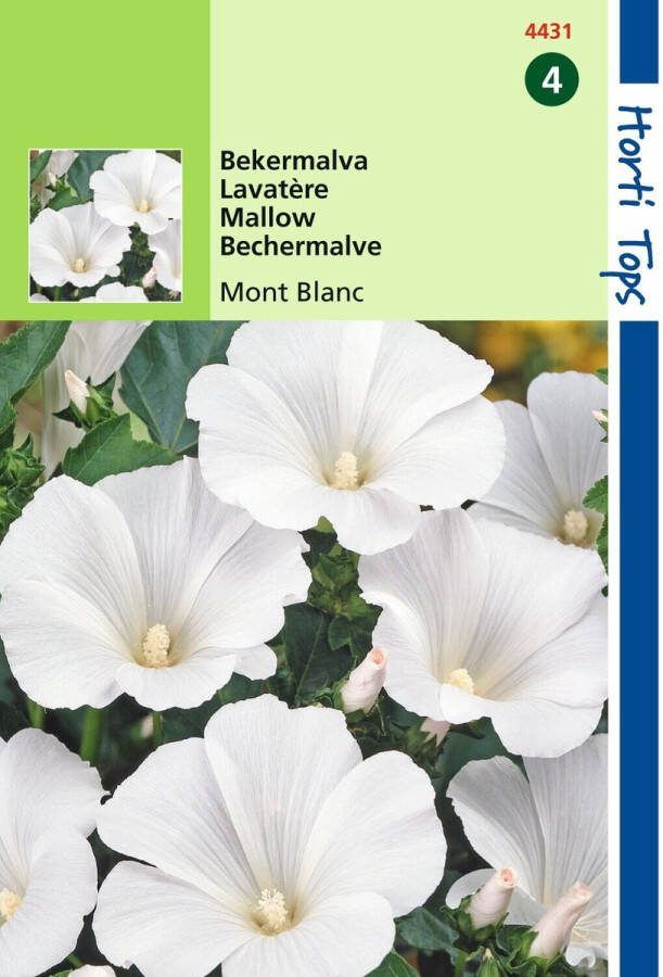 Hortitops 2 stuks Lavatera Trimestris Mont Blanc