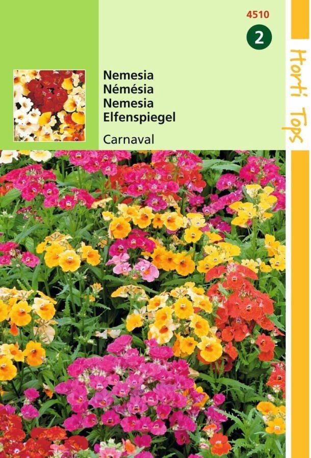Hortitops 2 stuks Nemesia Strumosa Carnaval Gem.