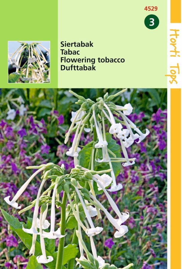 Hortitops 2 stuks Nicotiana Sylvestris wit