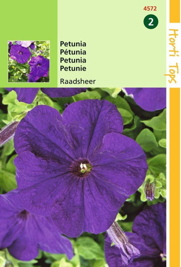 Hortitops 2 stuks Petunia Hybr.Nana Comp. Raadsheer