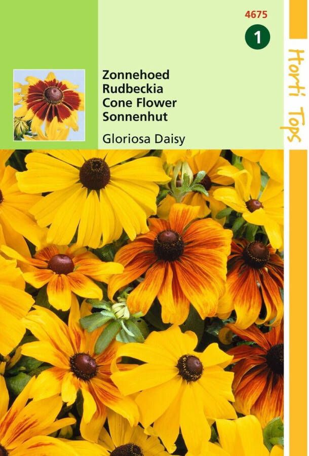 Hortitops 2 stuks Rudbeckia Hirta Gloriosa Daisy Gemengd