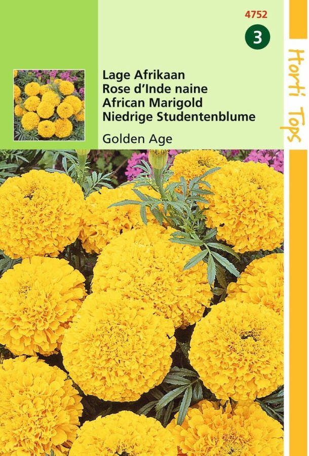 Hortitops 2 stuks Tagetes Erecta Nana Golden Age