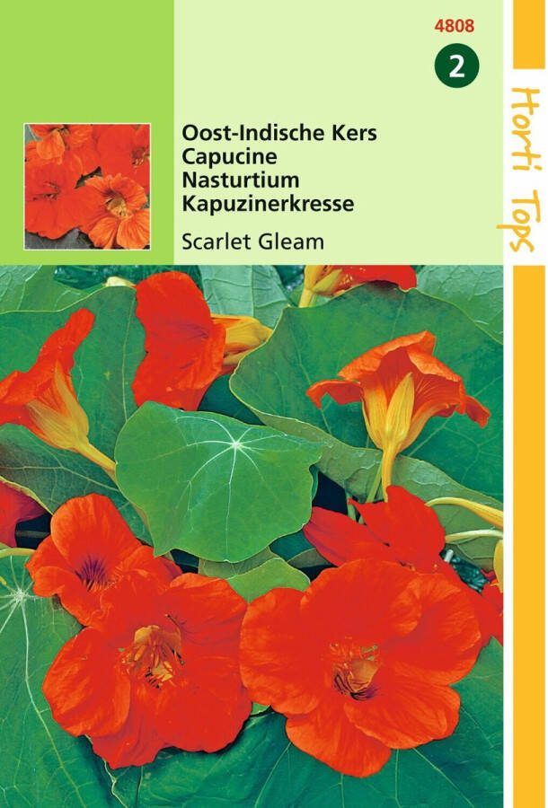 Hortitops 2 stuks Tropaeolum Scarlet Gleam Rood