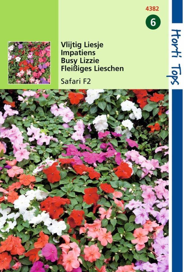 Hortitops 3 stuks HT Impatiens Vlijtig Liesje Safari F2 gemengd